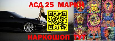 крисы Кингисепп