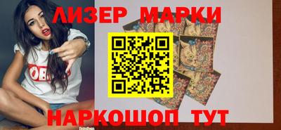 крисы Кингисепп