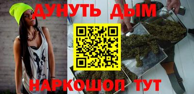 крисы Кингисепп