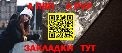 крисы Кингисепп