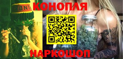 крисы Кингисепп