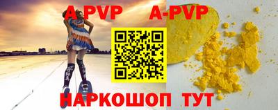 крисы Кингисепп