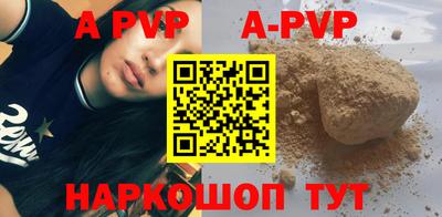 крисы Кингисепп