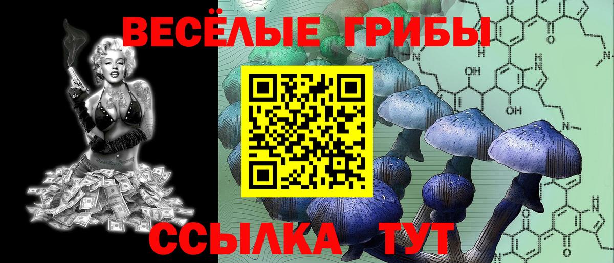 Галлюциногенные грибы мухоморы Волхов